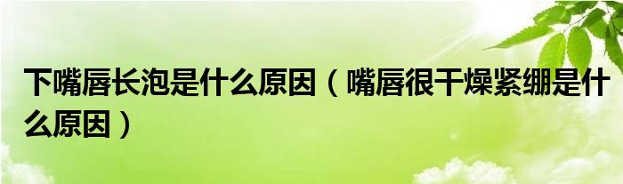 下嘴唇长泡是什么原因（嘴唇很干燥紧绷是什么原因）