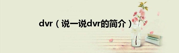 dvr（说一说dvr的简介）