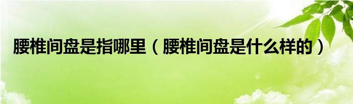 腰椎间盘是指哪里（腰椎间盘是什么样的）