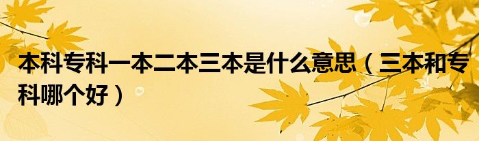 本科专科一本二本三本是什么意思（三本和专科哪个好）