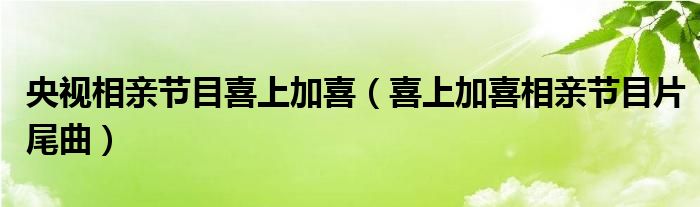 央视相亲节目喜上加喜（喜上加喜相亲节目片尾曲）