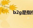 b2g是指什么（b2g是什么意思）