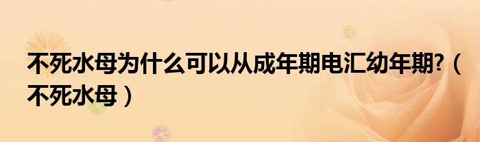 不死水母为什么可以从成年期电汇幼年期?（不死水母）