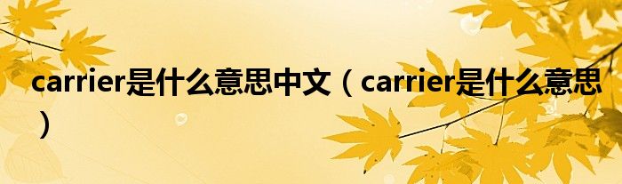 carrier是什么意思中文（carrier是什么意思）