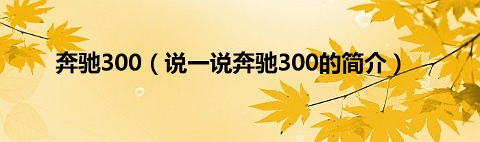 奔驰300（说一说奔驰300的简介）