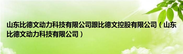 山东比德文动力科技有限公司跟比德文控股有限公司（山东比德文动力科技有限公司）