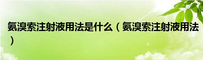 氨溴索注射液用法是什么（氨溴索注射液用法）