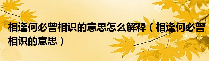 相逢何必曾相识的意思怎么解释（相逢何必曾相识的意思）