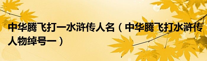 中华腾飞打一水浒传人名（中华腾飞打水浒传人物绰号一）