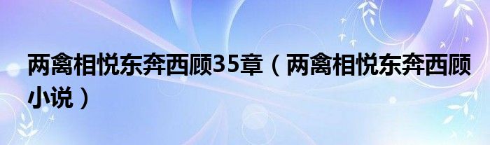 两禽相悦东奔西顾35章（两禽相悦东奔西顾小说）