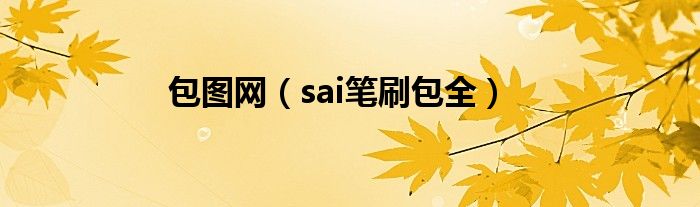 包图网（sai笔刷包全）