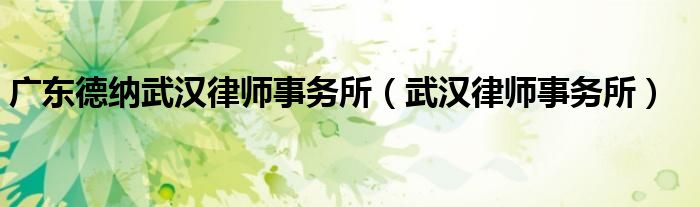 广东德纳武汉律师事务所（武汉律师事务所）