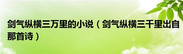 剑气纵横三万里的小说（剑气纵横三千里出自那首诗）