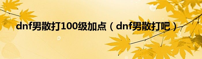 dnf男散打100级加点（dnf男散打吧）