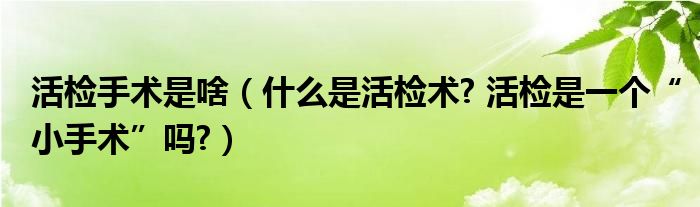 活检手术是啥（什么是活检术? 活检是一个“小手术”吗?）