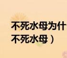 不死水母为什么可以从成年期电汇幼年期?（不死水母）