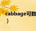 cabbage可数与不可数区别（cabbage可数）