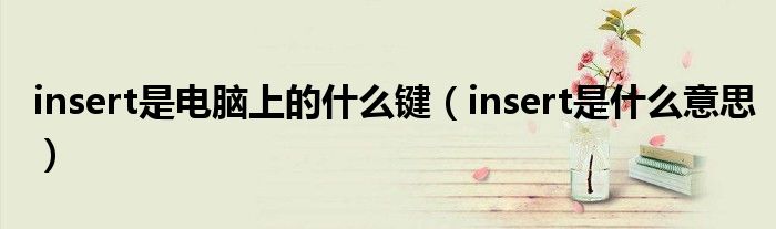 insert是电脑上的什么键（insert是什么意思）