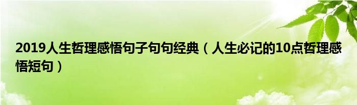 2019人生哲理感悟句子句句经典（人生必记的10点哲理感悟短句）