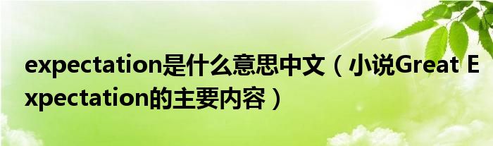 expectation是什么意思中文（小说Great Expectation的主要内容）