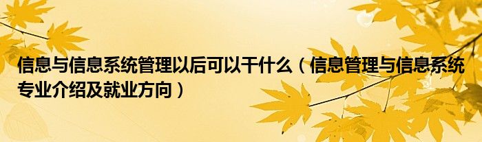 信息与信息系统管理以后可以干什么（信息管理与信息系统专业介绍及就业方向）