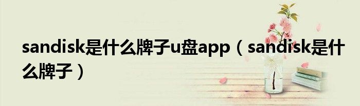 sandisk是什么牌子u盘app（sandisk是什么牌子）