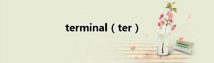 terminal（ter）