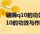 辅酶q10的功效与作用最佳服用时间（辅酶q10的功效与作用）