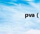 pva（说一说pva的简介）