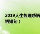 2019人生哲理感悟句子句句经典（人生必记的10点哲理感悟短句）