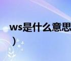 ws是什么意思（说一说ws是什么意思的简介）