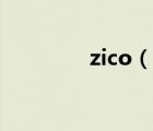 zico（说一说zico的简介）