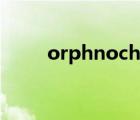 orphnoch爆甲形态（orphnoch）