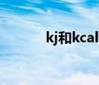 kj和kcal的换算（卡路里单位）