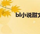 bl小说甜文娱乐圈（bl小说甜文）