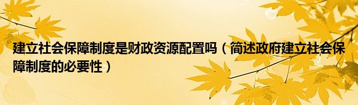 建立社会保障制度是财政资源配置吗（简述政府建立社会保障制度的必要性）