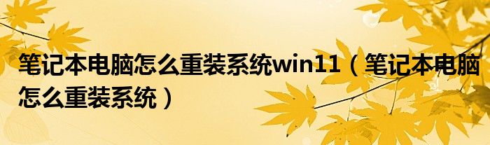 笔记本电脑怎么重装系统win11（笔记本电脑怎么重装系统）