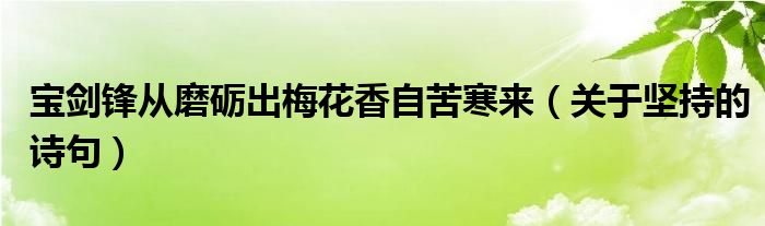 宝剑锋从磨砺出梅花香自苦寒来（关于坚持的诗句）