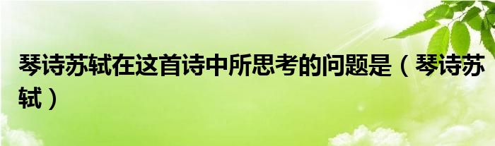 琴诗苏轼在这首诗中所思考的问题是（琴诗苏轼）