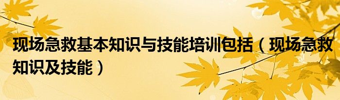 现场急救基本知识与技能培训包括（现场急救知识及技能）