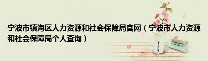 宁波市镇海区人力资源和社会保障局官网（宁波市人力资源和社会保障局个人查询）