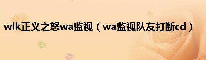 wlk正义之怒wa监视（wa监视队友打断cd）