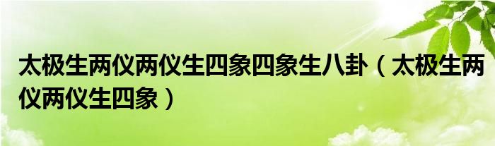 太极生两仪两仪生四象四象生八卦（太极生两仪两仪生四象）