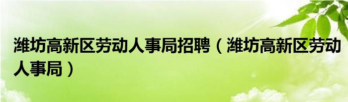 潍坊高新区劳动人事局招聘（潍坊高新区劳动人事局）