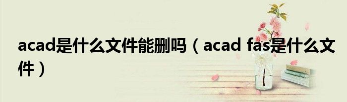 acad是什么文件能删吗（acad fas是什么文件）