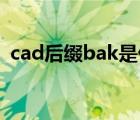 cad后缀bak是什么文件（bak是什么文件）