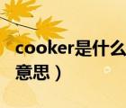 cooker是什么意思英语翻译（cooker是什么意思）