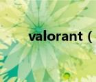 valorant（说一说valorant的简介）