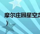 摩尔庄园星空龙图片（摩尔庄园星空龙什么样）