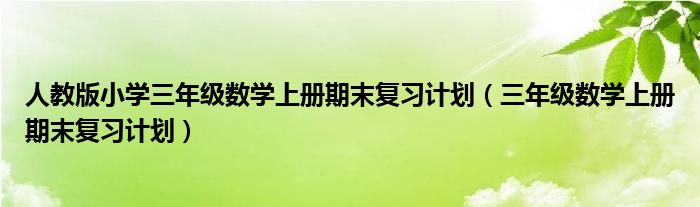 人教版小学三年级数学上册期末复习计划（三年级数学上册期末复习计划）